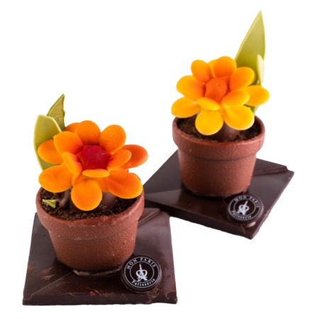 Chocolate flower. Milk and white chocolate.